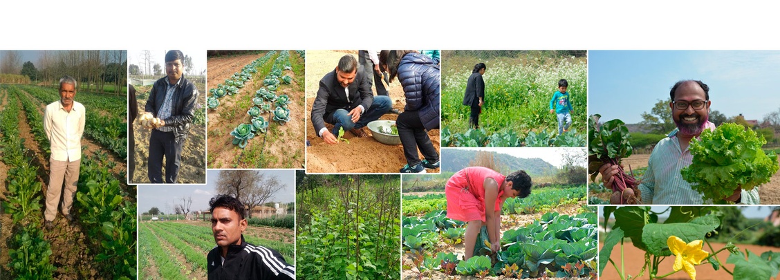 GOFM farmers are an an integral part of the Gurgaon community