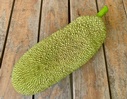 Jackfruit full  - Valley View