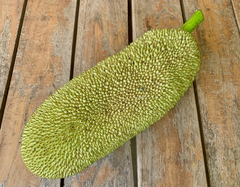 Jackfruit full  - Valley View